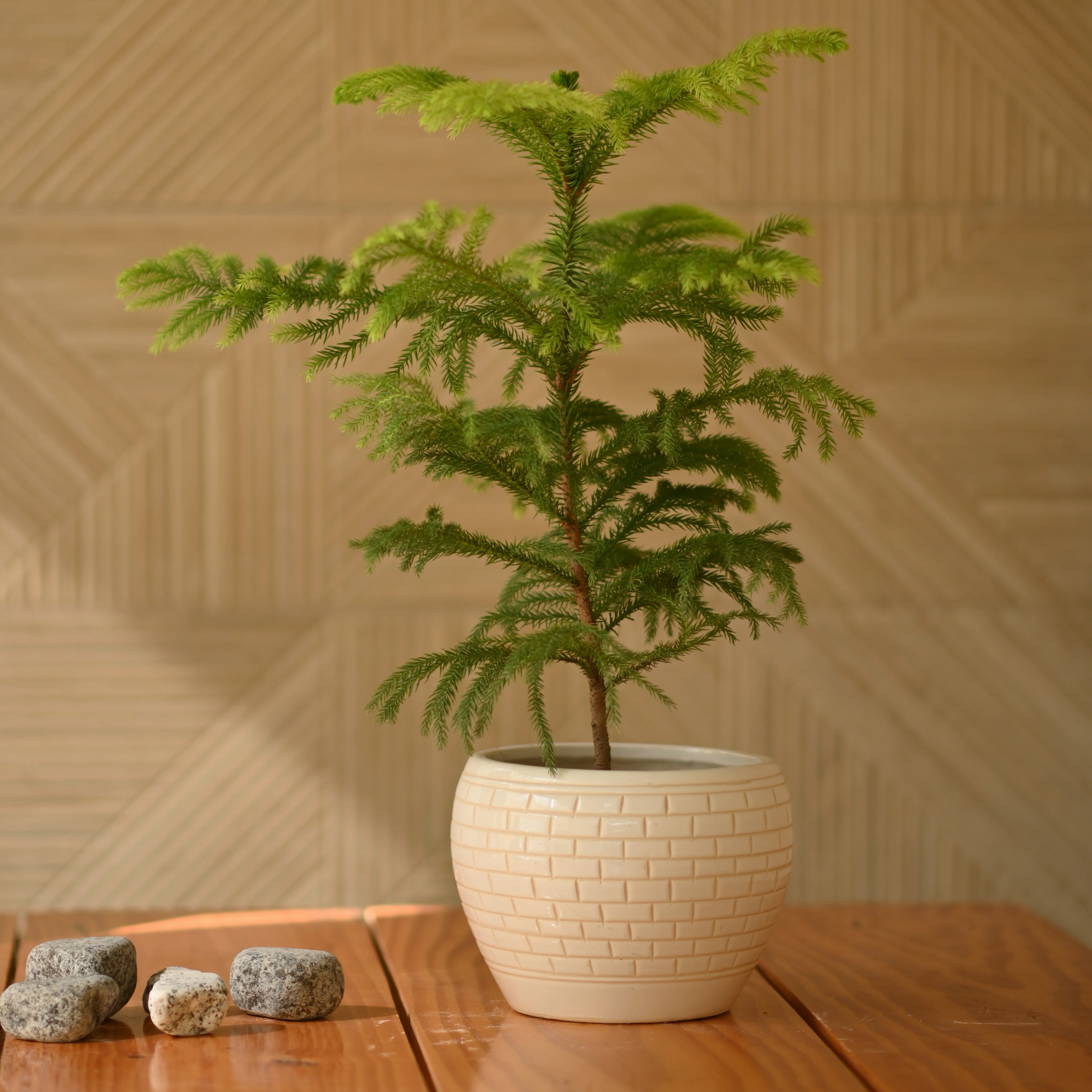 Ceramic Designer Apple Pot 9"