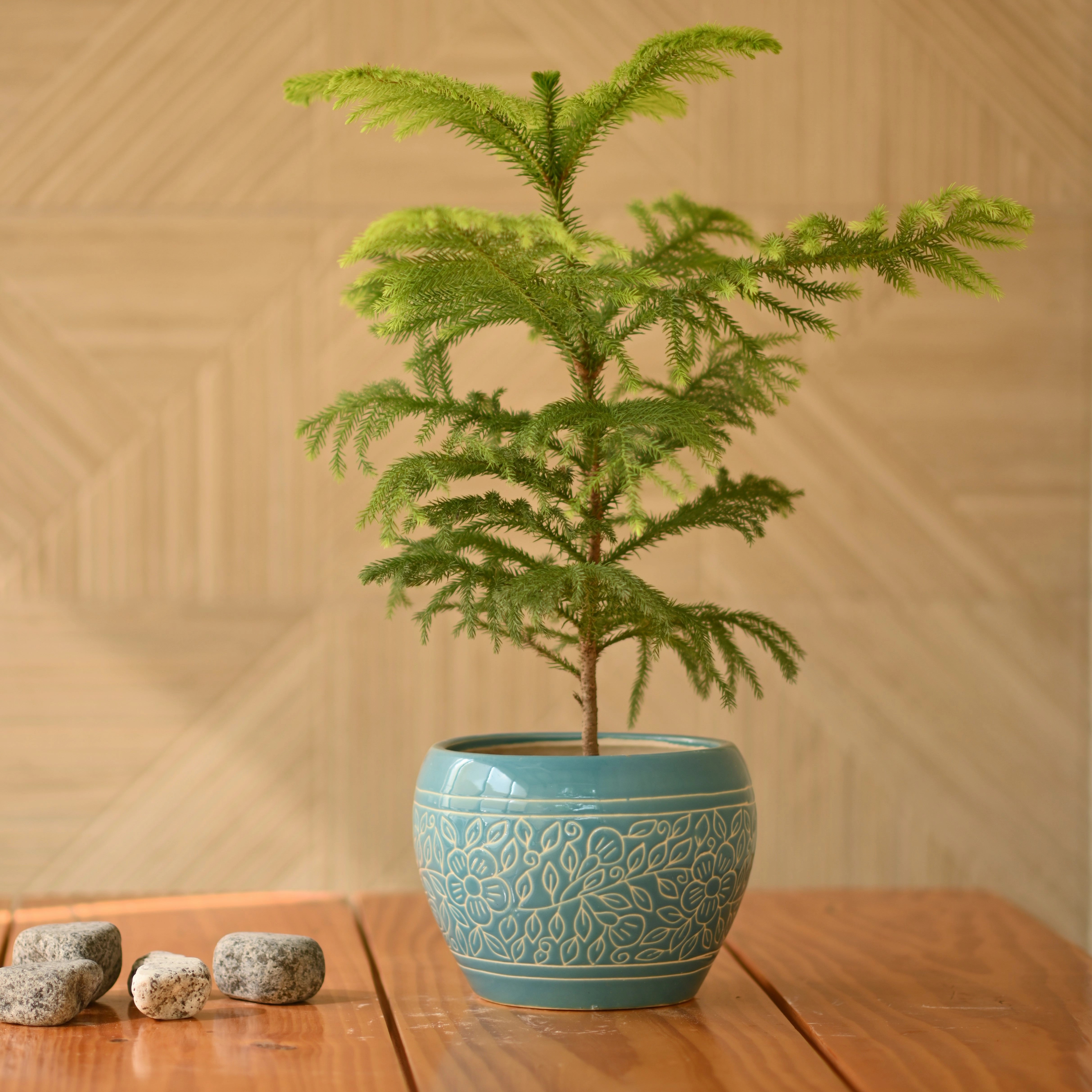 Ceramic Designer Apple Pot 9"
