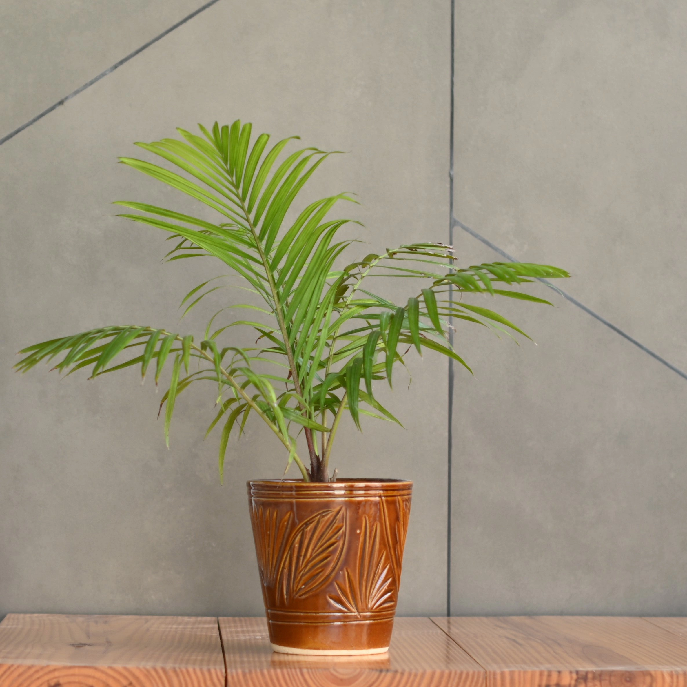 Ceramic Designer Cone Shape Leaf Design Pot, Brown