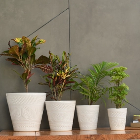 Ceramic Designer Cone Shape Leaf Design Pot, White desktop planter  