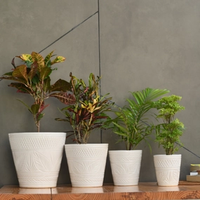 Ceramic Designer Cone Shape Leaf Design Pot, White classic flowerpot  