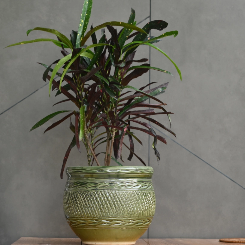 Ceramic Dholak Pot Criss-cross (Green)