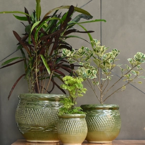 Ceramic Dholak Pot Criss-cross (Green) classic flowerpot  