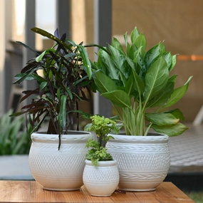 Ceramic Dholak Pot Criss-cross (White) desktop planter  