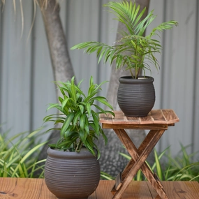 Ceramic Dholak Pot Horizontal Ribbed (Grey) hanging green plant  