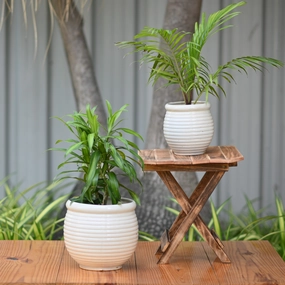 Ceramic Dholak Pot Horizontal Ribbed (White) classic flowerpot  