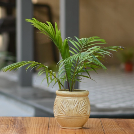 Ceramic Dholak Pot Leaf Pattern (Cream)