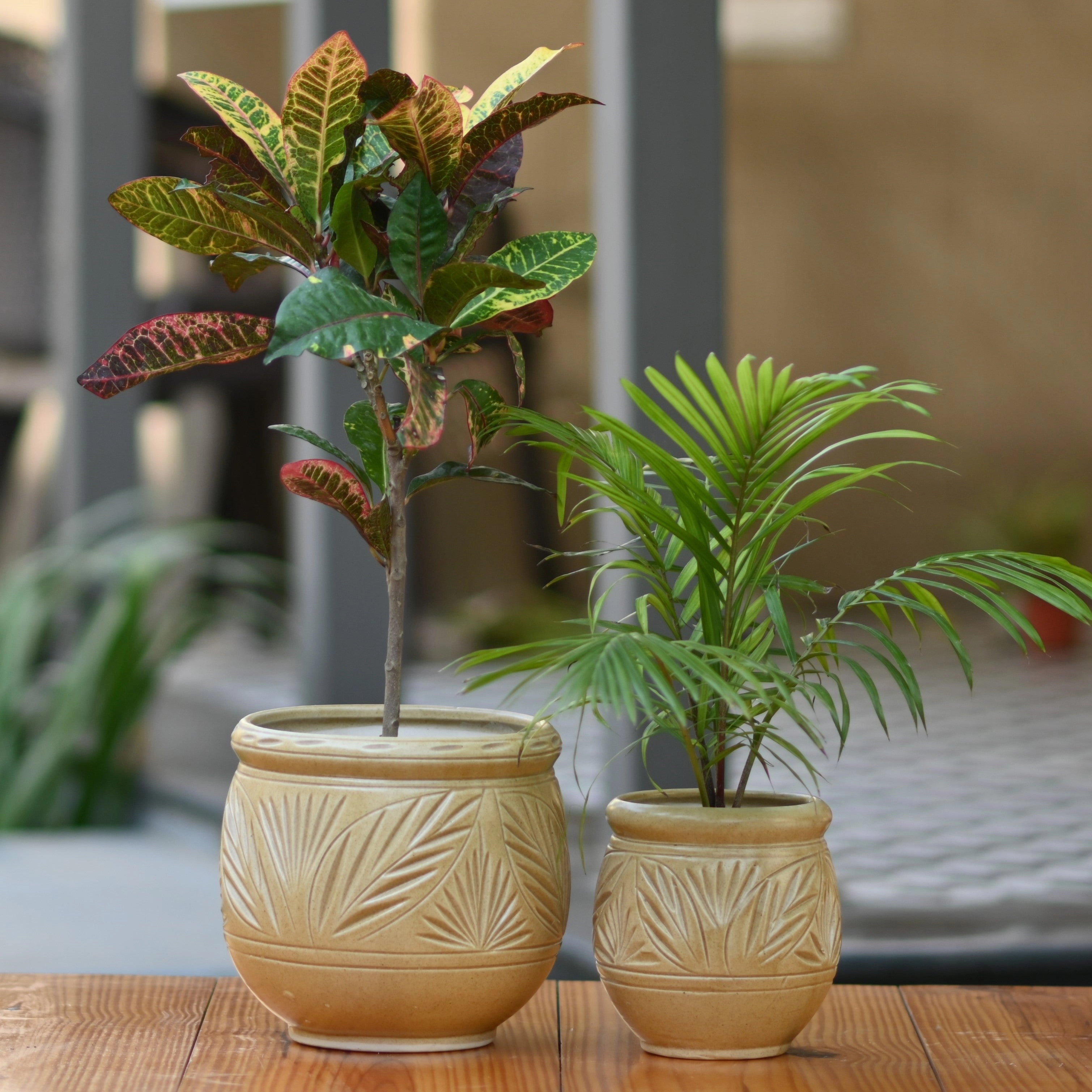 Ceramic Dholak Pot Leaf Pattern (Cream) desktop planter  