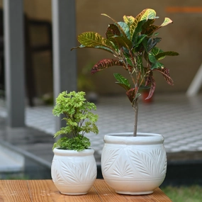 Ceramic Dholak Pot Leaf Pattern (White) classic flowerpot  