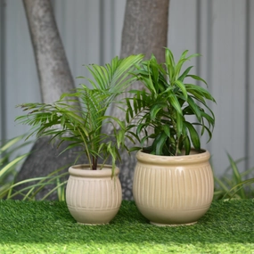 Ceramic Dholak Pot Vertical Ribbed (Cream) classic flowerpot  