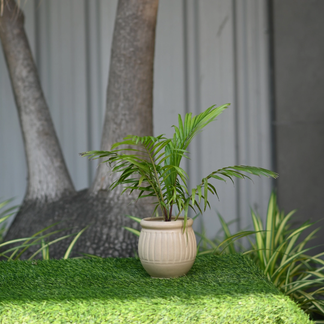 Ceramic Dholak Pot Vertical Ribbed (Cream)