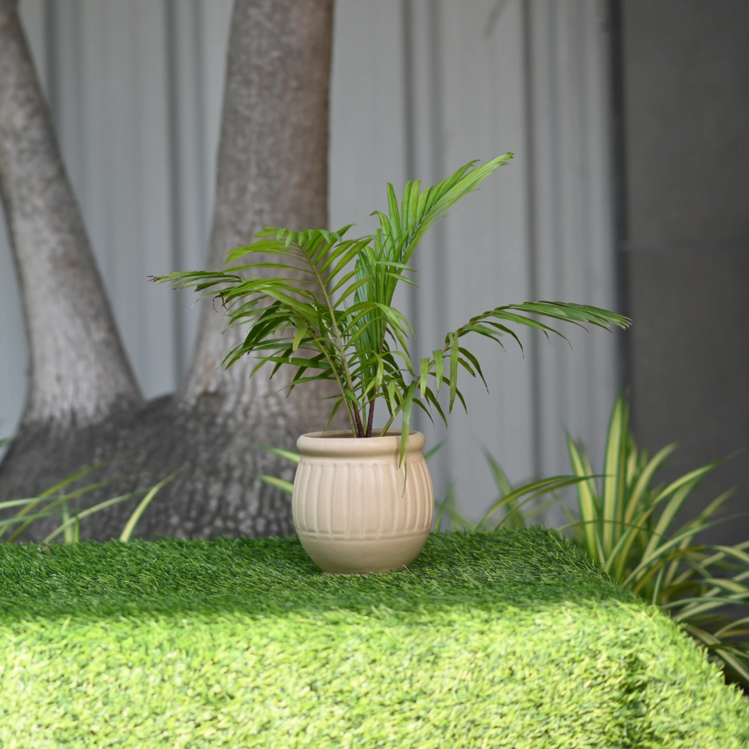 Ceramic Dholak Pot Vertical Ribbed (Cream)