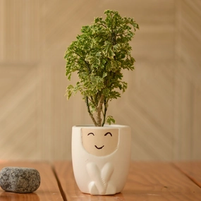 Ceramic Doll Pot/Planter For Plants desktop planter  
