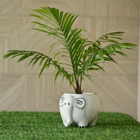 Ceramic Elephant Statue Pot cactus succulent plant  
