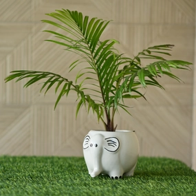 Ceramic Elephant Statue Pot hanging green plant  