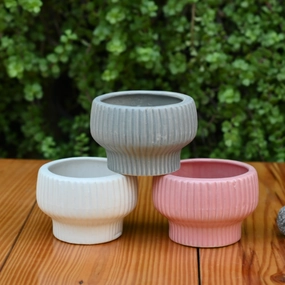 Ceramic Fruit Bowl Pot For Plants shade perennial  