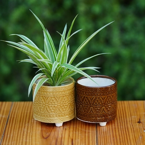 Ceramic Geometric Pattern Ceramic Planter with Three Feet hanging green plant  
