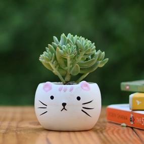 Ceramic Kitty Cat Pot/Planter hanging green plant  