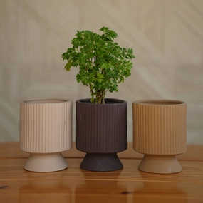 Ceramic Long Okhli Planter For Plants hanging green plant  
