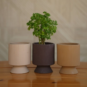 Ceramic Long Okhli Planter For Plants shade perennial  