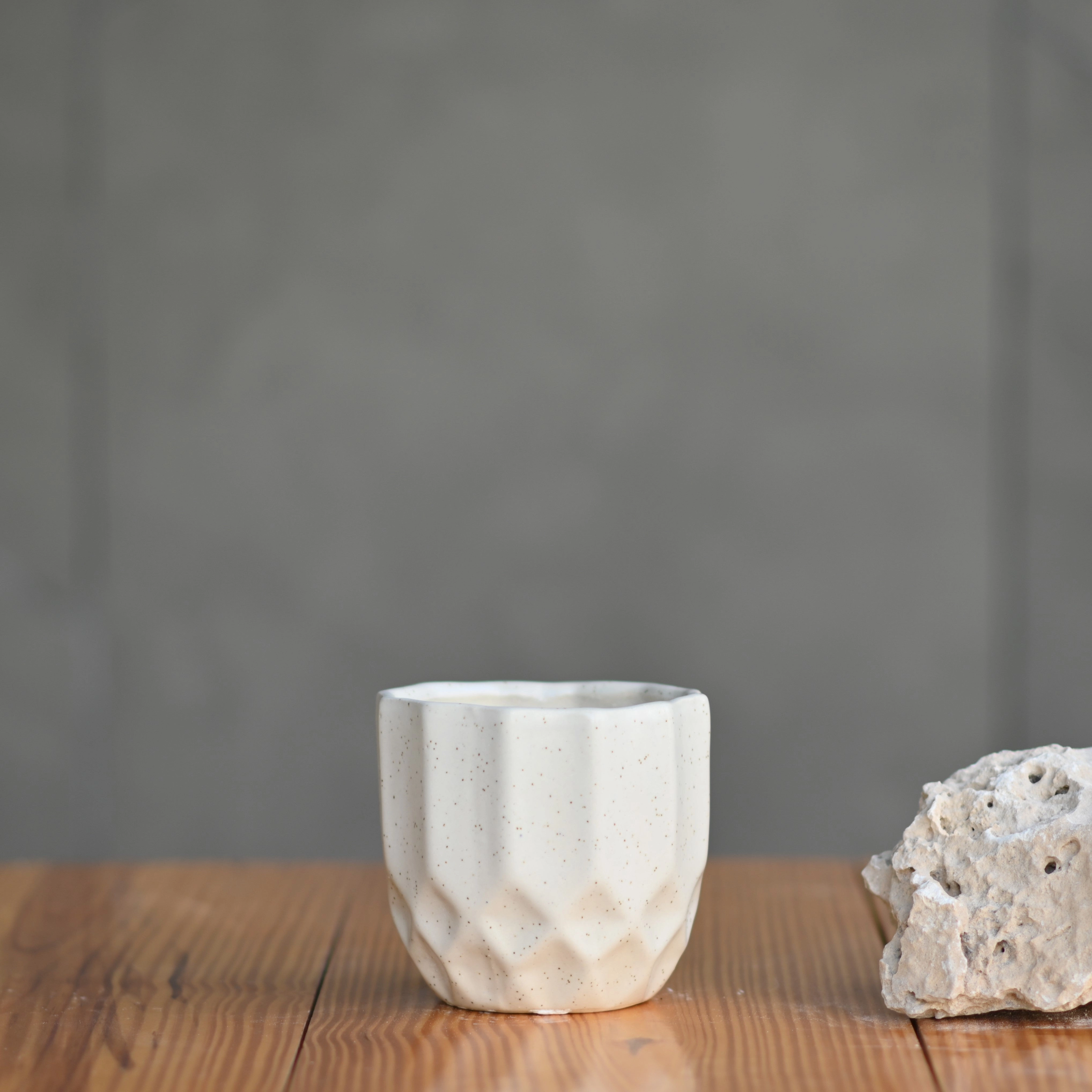 Ceramic Octa Pot/Planter For Plants