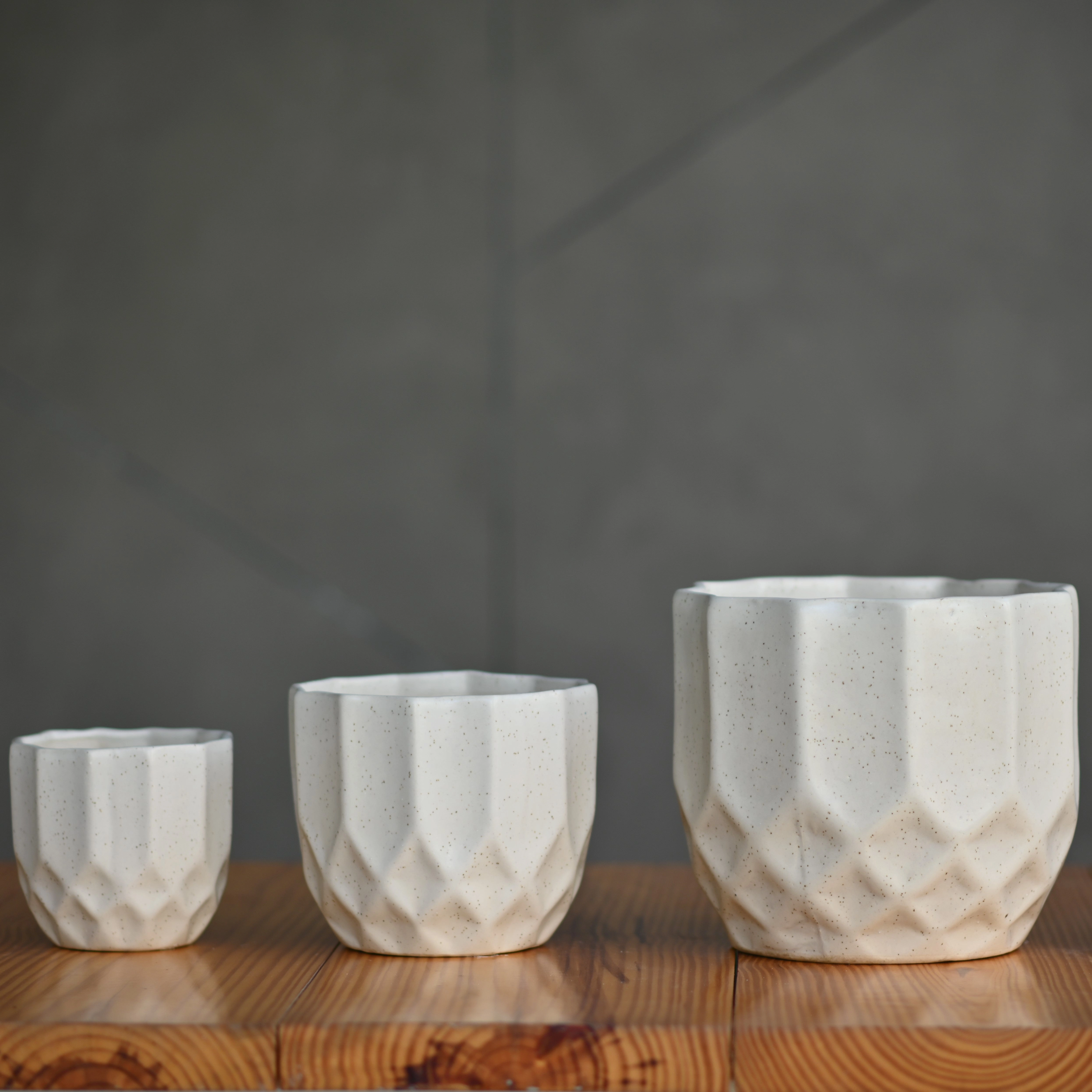Ceramic Octa Pot/Planter For Plants