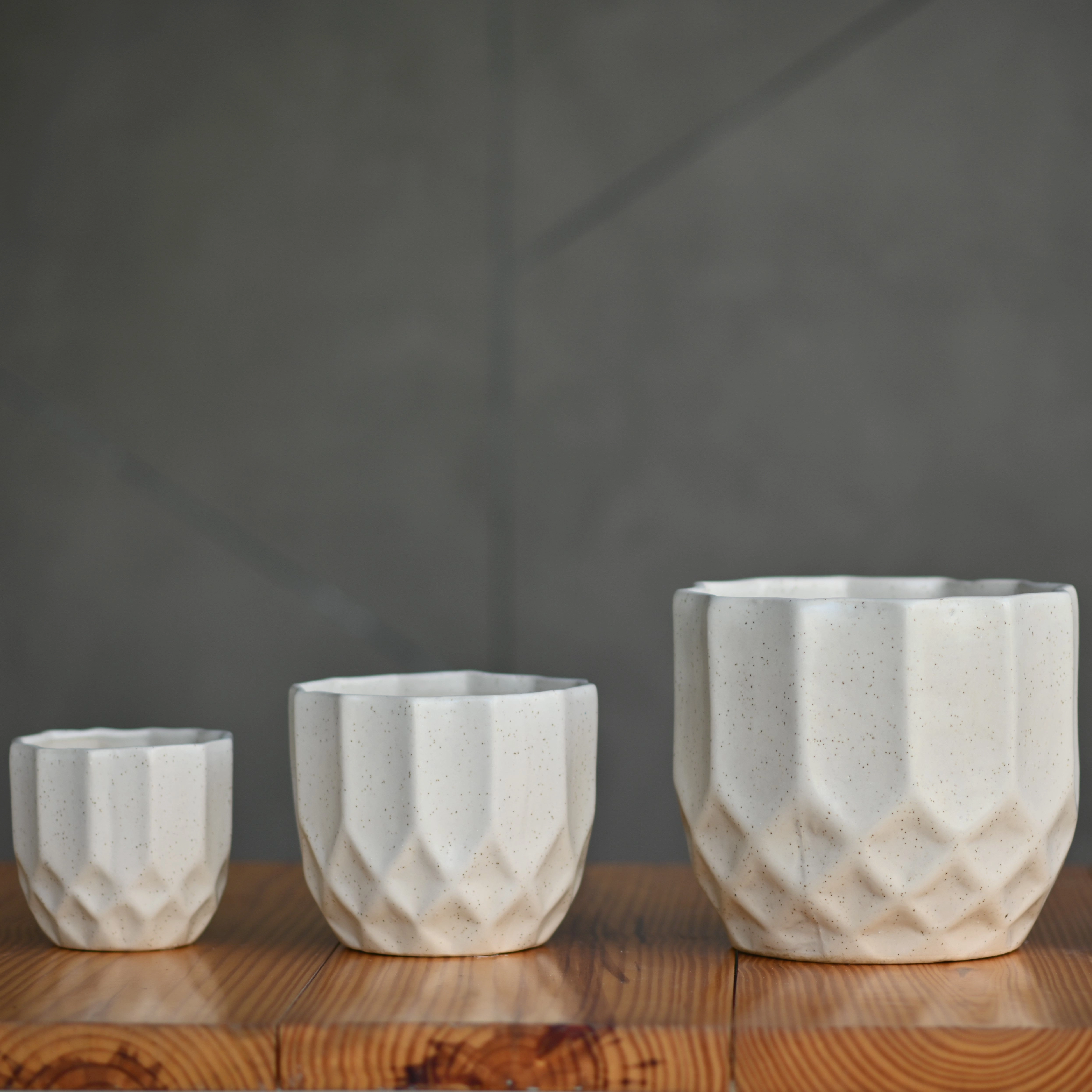 Ceramic Octa Pot/Planter For Plants