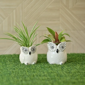 Ceramic owl Design Pot/ Planter desktop planter  