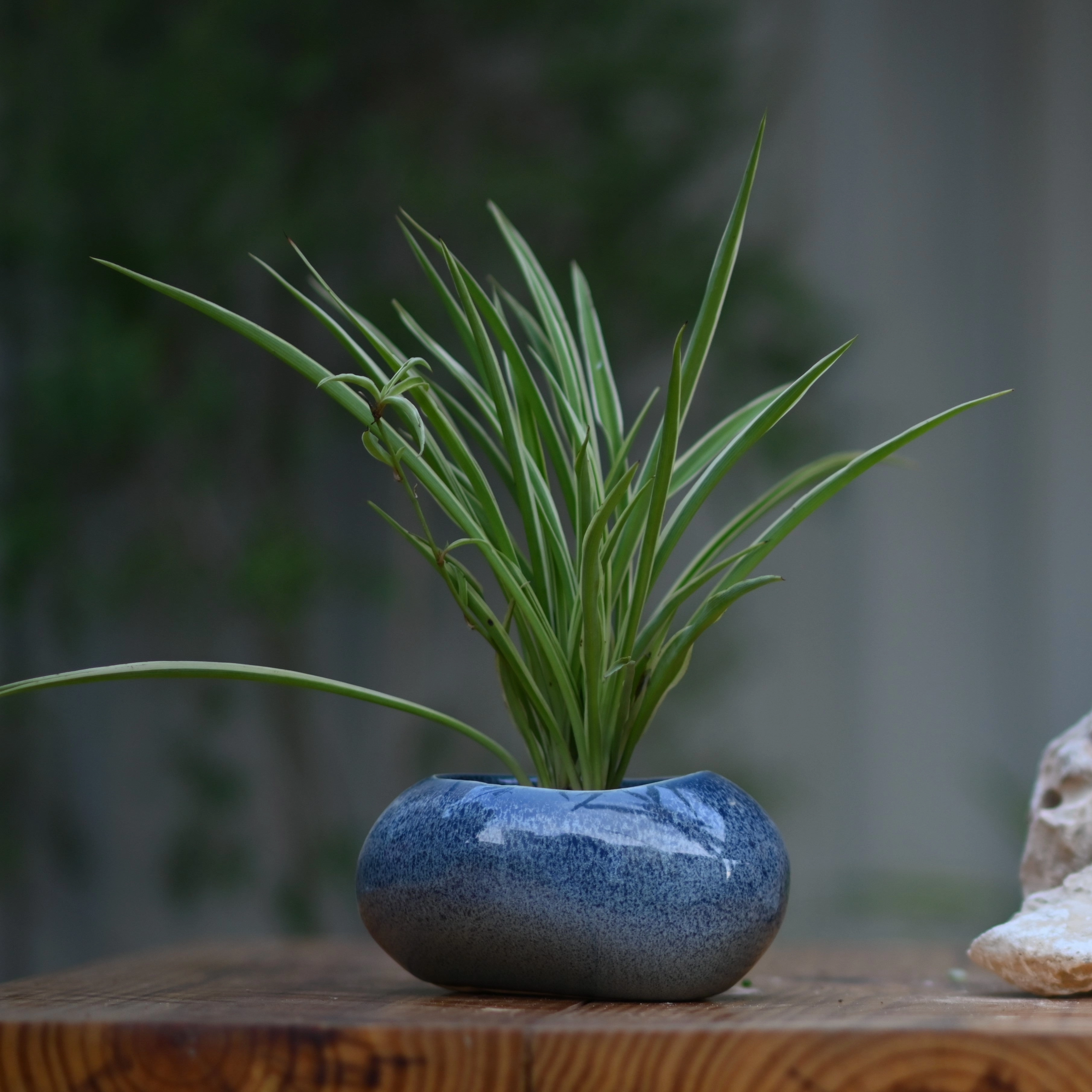 Ceramic Pebble Pot/Planter desktop planter  