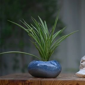 Ceramic Pebble Pot/Planter desktop planter  