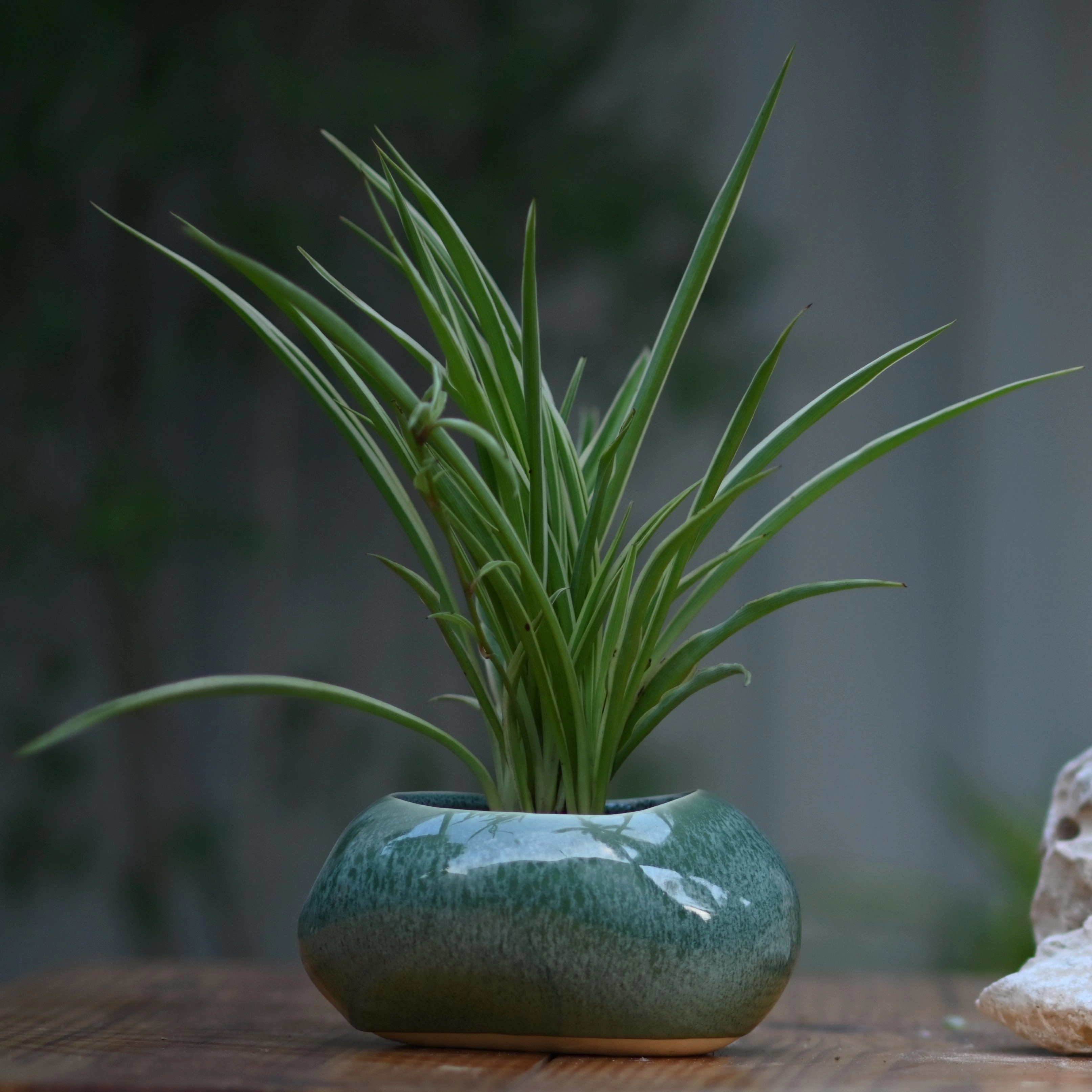Ceramic Pebble Pot/Planter