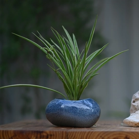 Ceramic Pebble Pot/Planter shade perennial  
