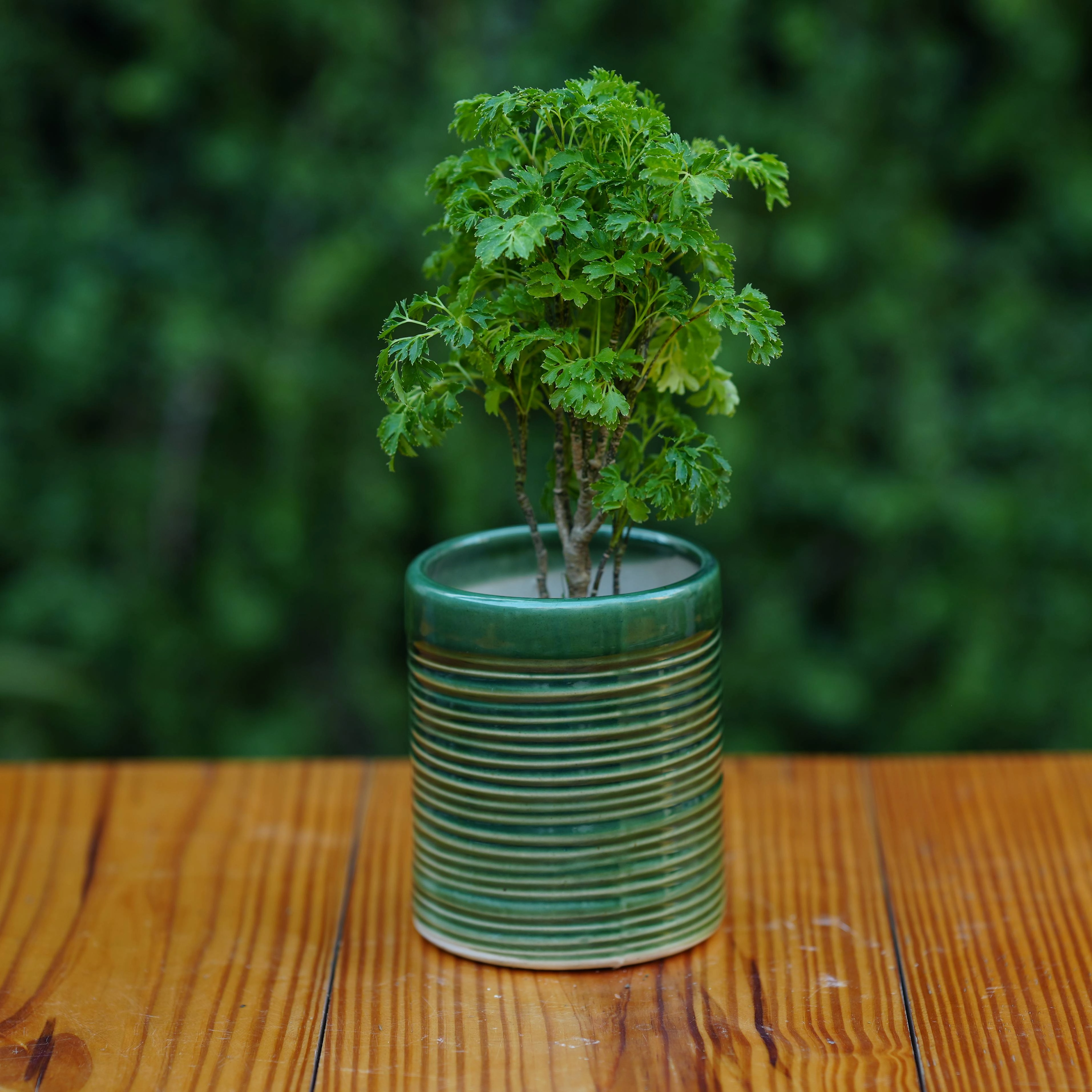 Ceramic Pipe Shape Ribbed Pot/ Planter For Plants