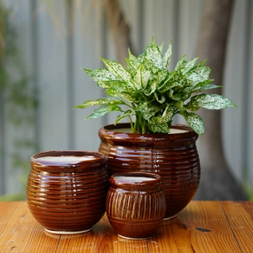 Ceramic Planter with Glossy Glazed Finish classic flowerpot  
