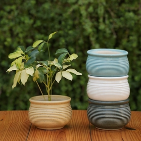 Ceramic Planter with Horizontal Grooves shade perennial  