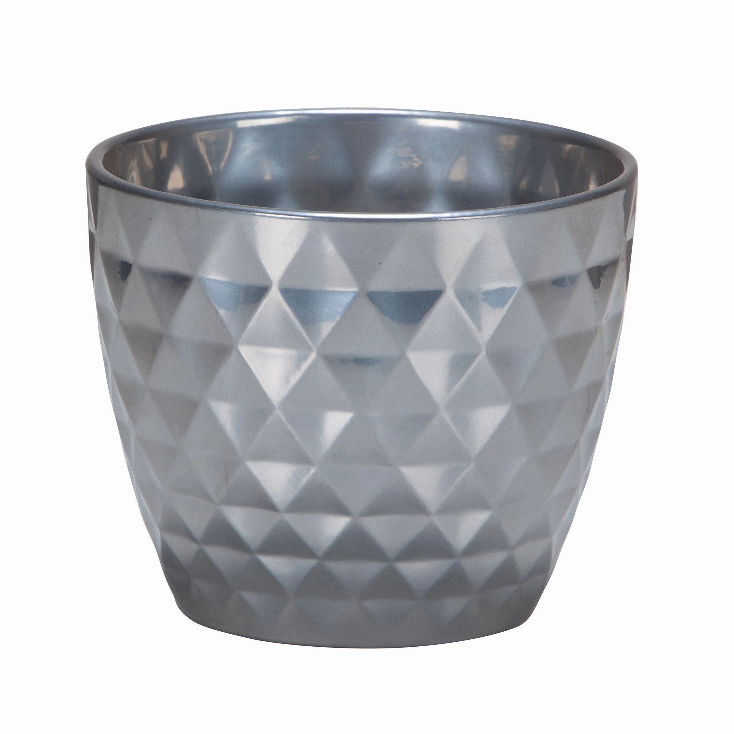 Ceramic Pot Metal (832) tall green plant  