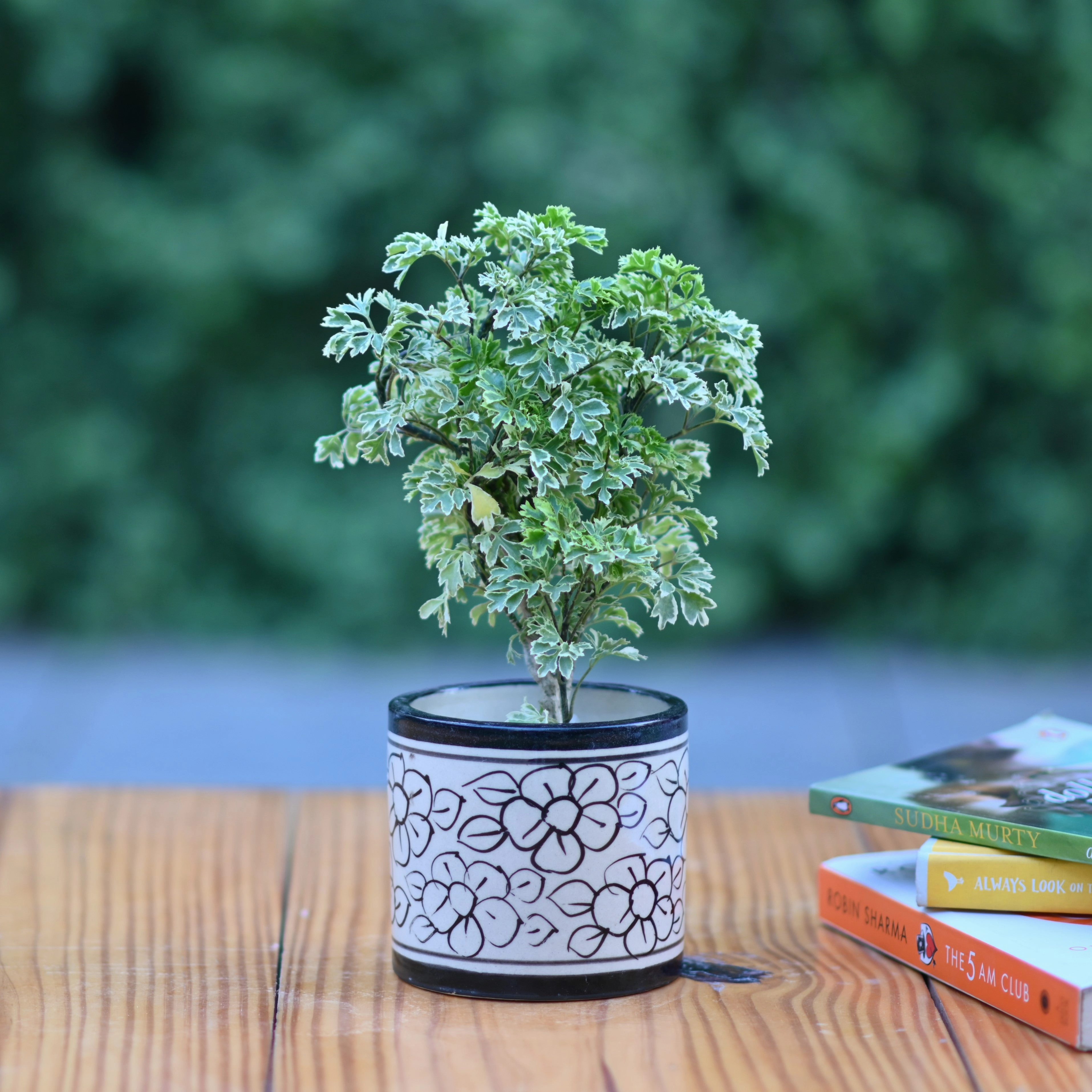 Ceramic Printed Cyclinderical 4" Pot