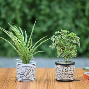 Ceramic Printed Cyclinderical 4" Pot hanging green plant  