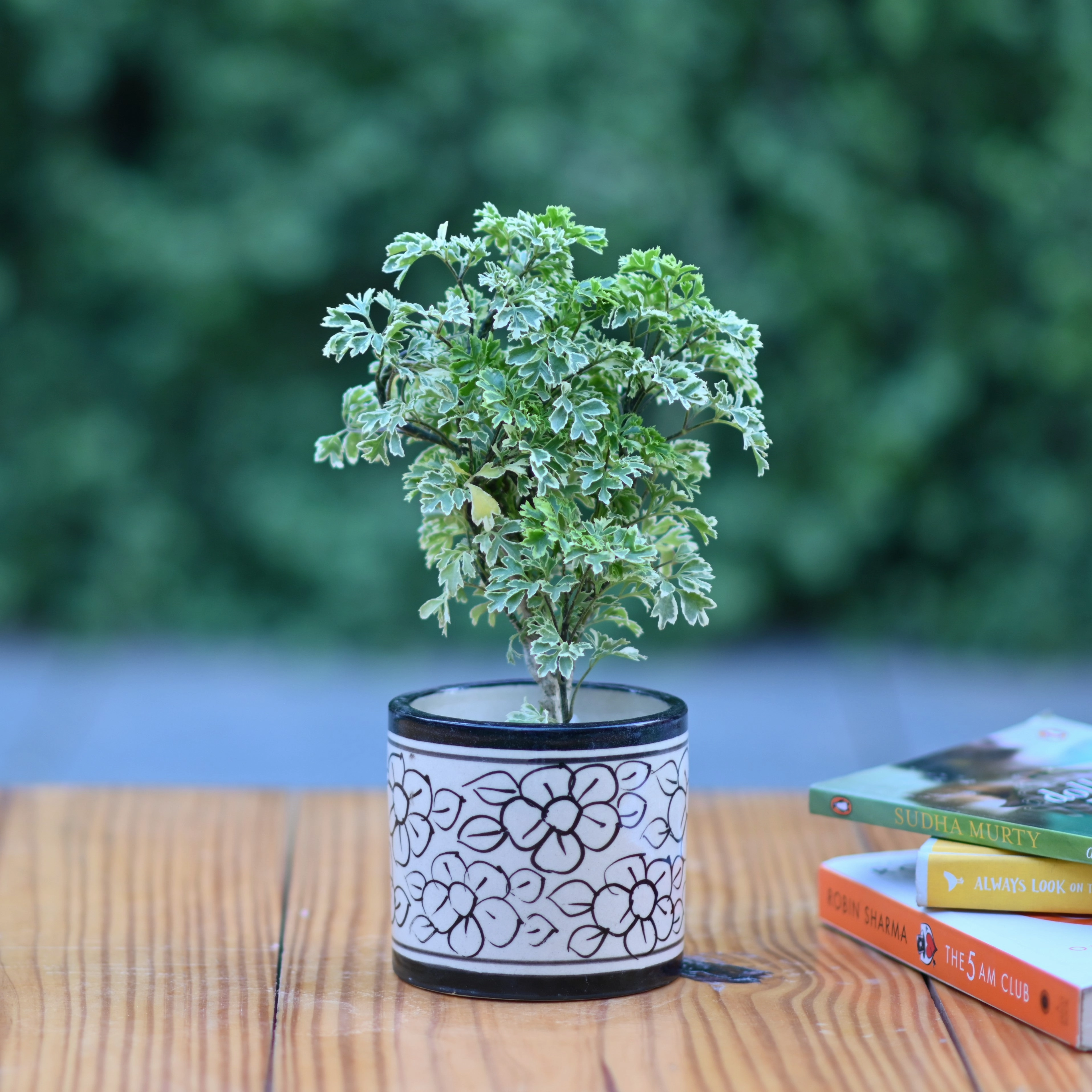 Ceramic Printed Cyclinderical 4" Pot
