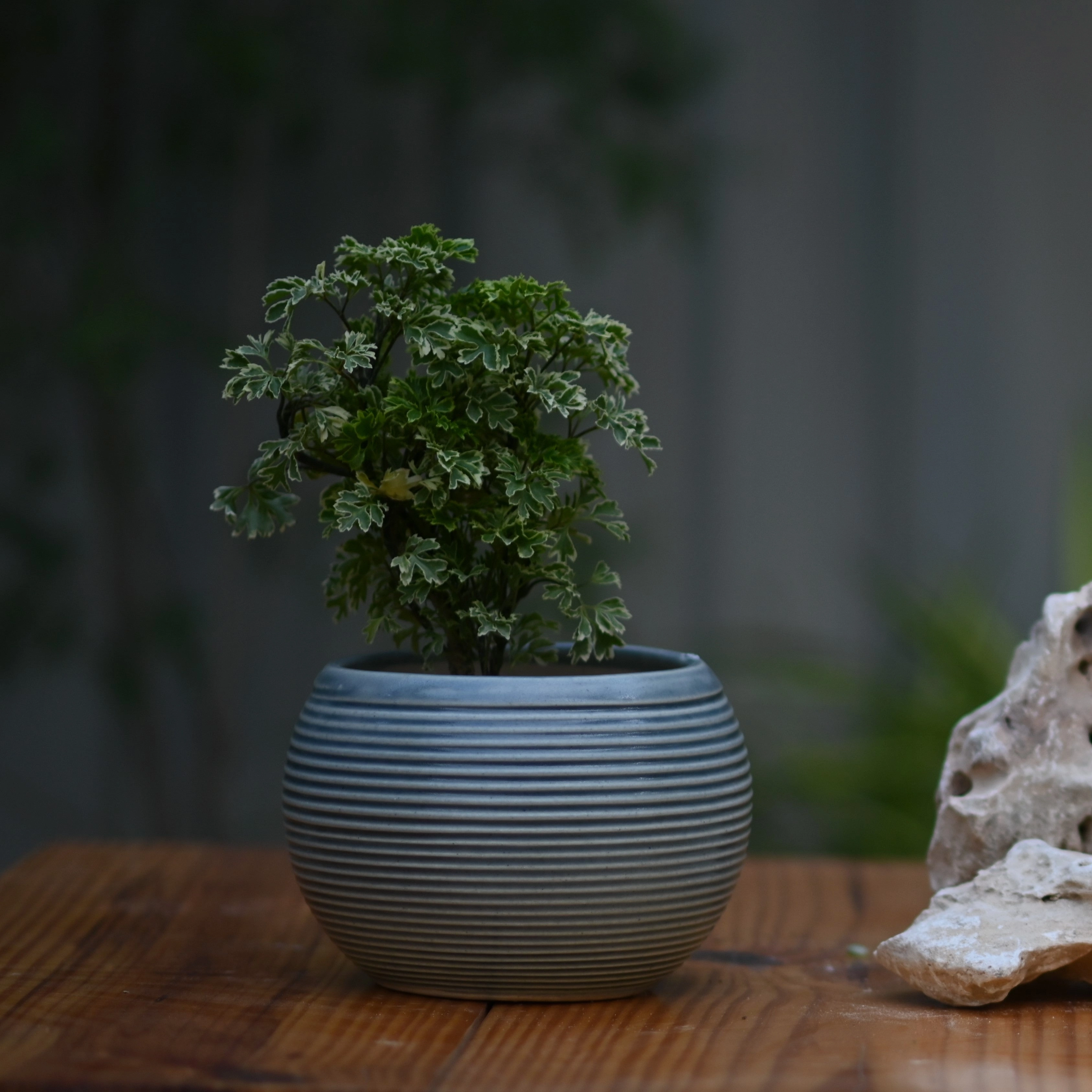 Ceramic Ribbed Matka Pot/Planter