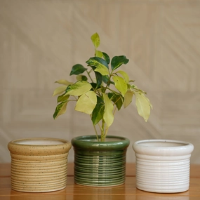 Ceramic Round Ribbed Pot/Planter for Plants desktop planter  