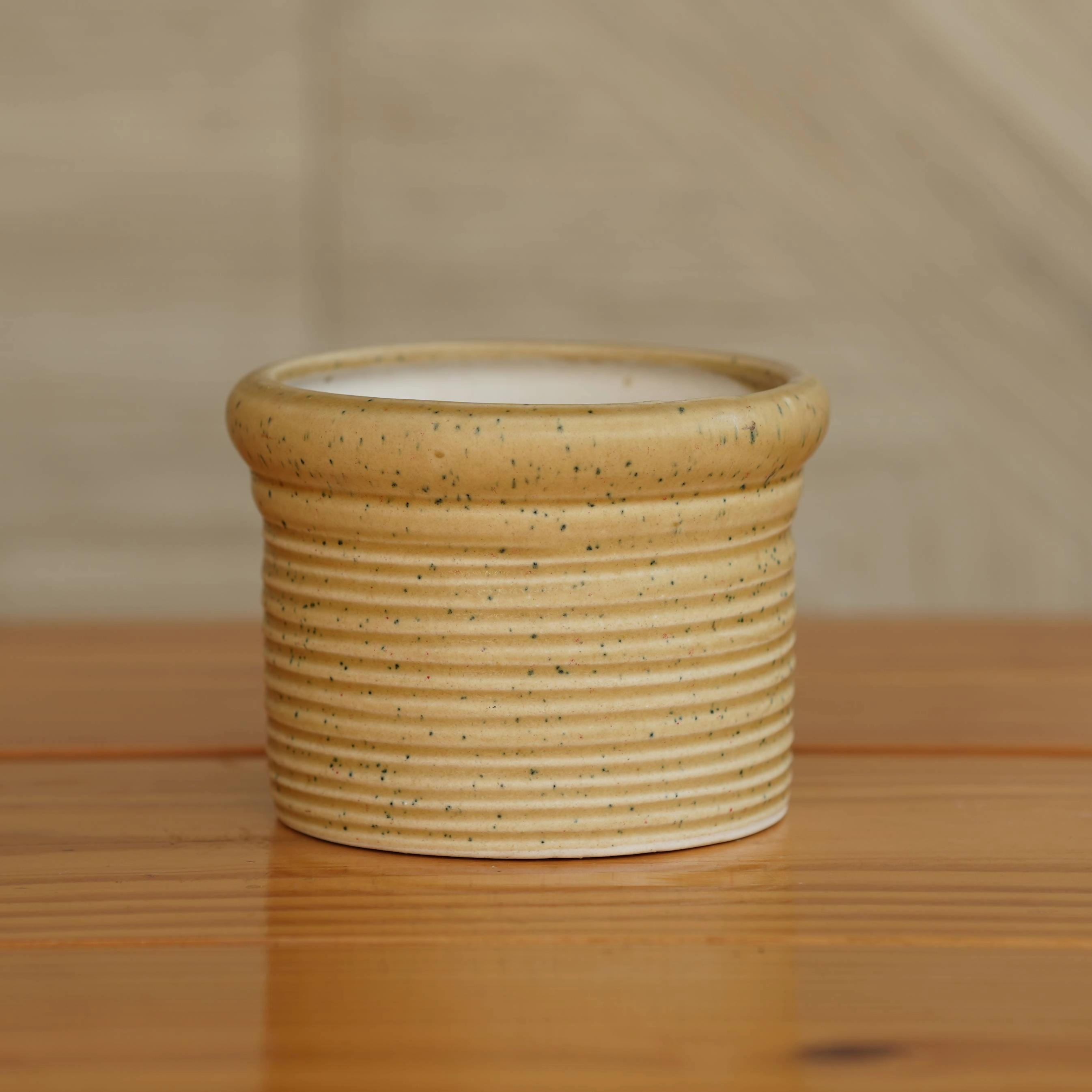 Ceramic Round Ribbed Pot/Planter for Plants