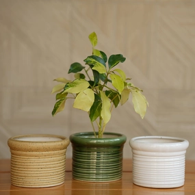 Ceramic Round Ribbed Pot/Planter for Plants shade perennial  