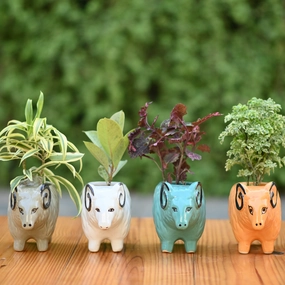 Ceramic Sheep Design Pot hanging green plant  