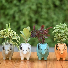 Ceramic Sheep Design Pot shade perennial  