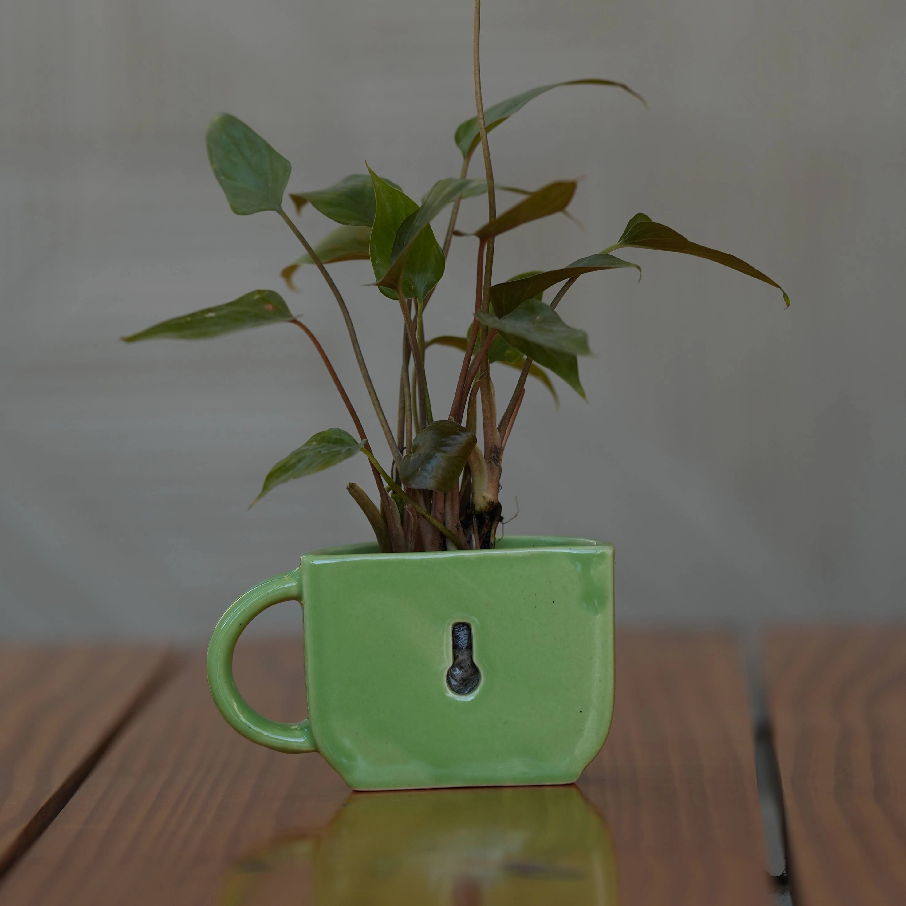 Ceramic Small Half Cup Shape Pot