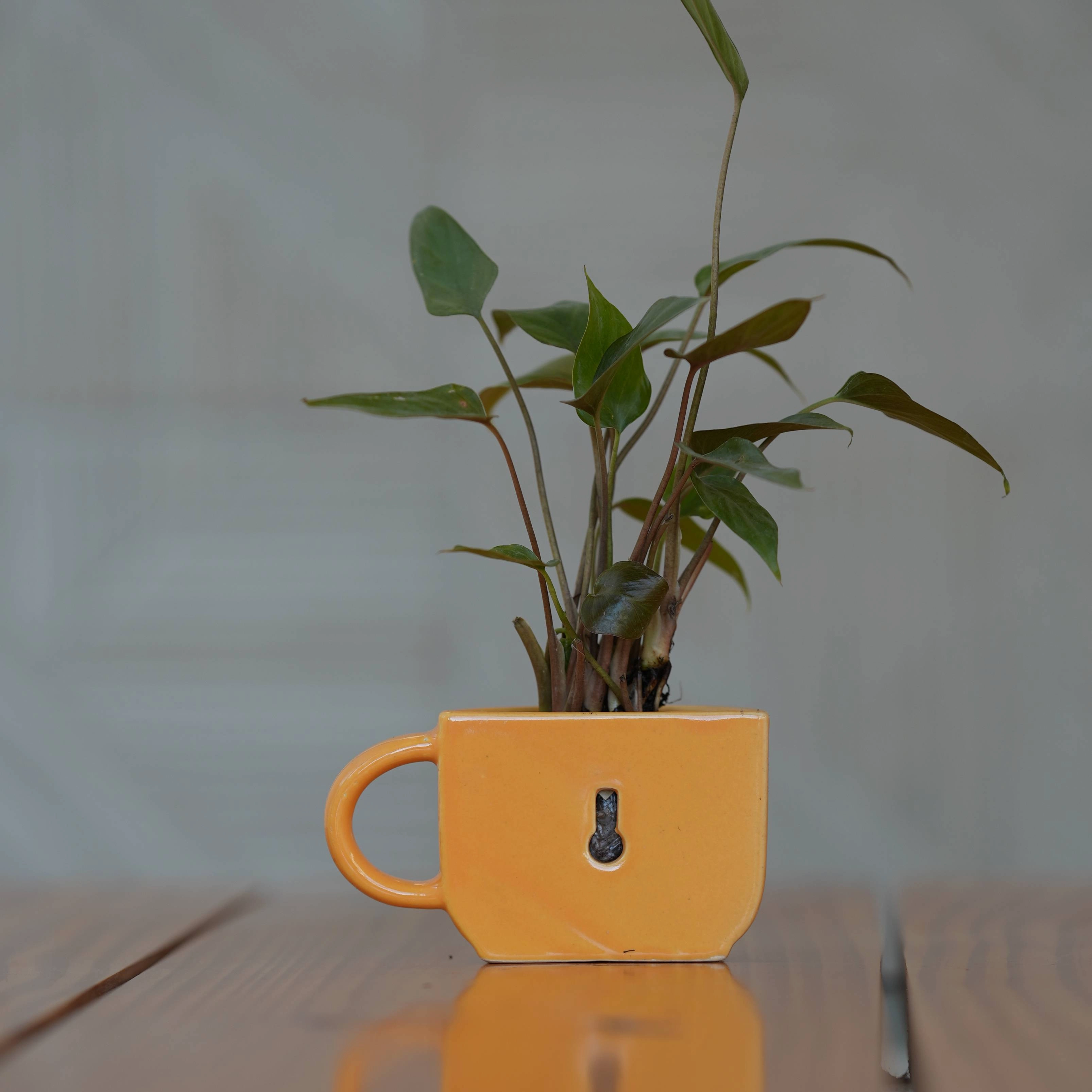 Ceramic Small Half Cup Shape Pot