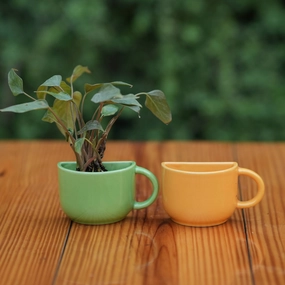 Ceramic Small Half Cup Shape Pot shade perennial  