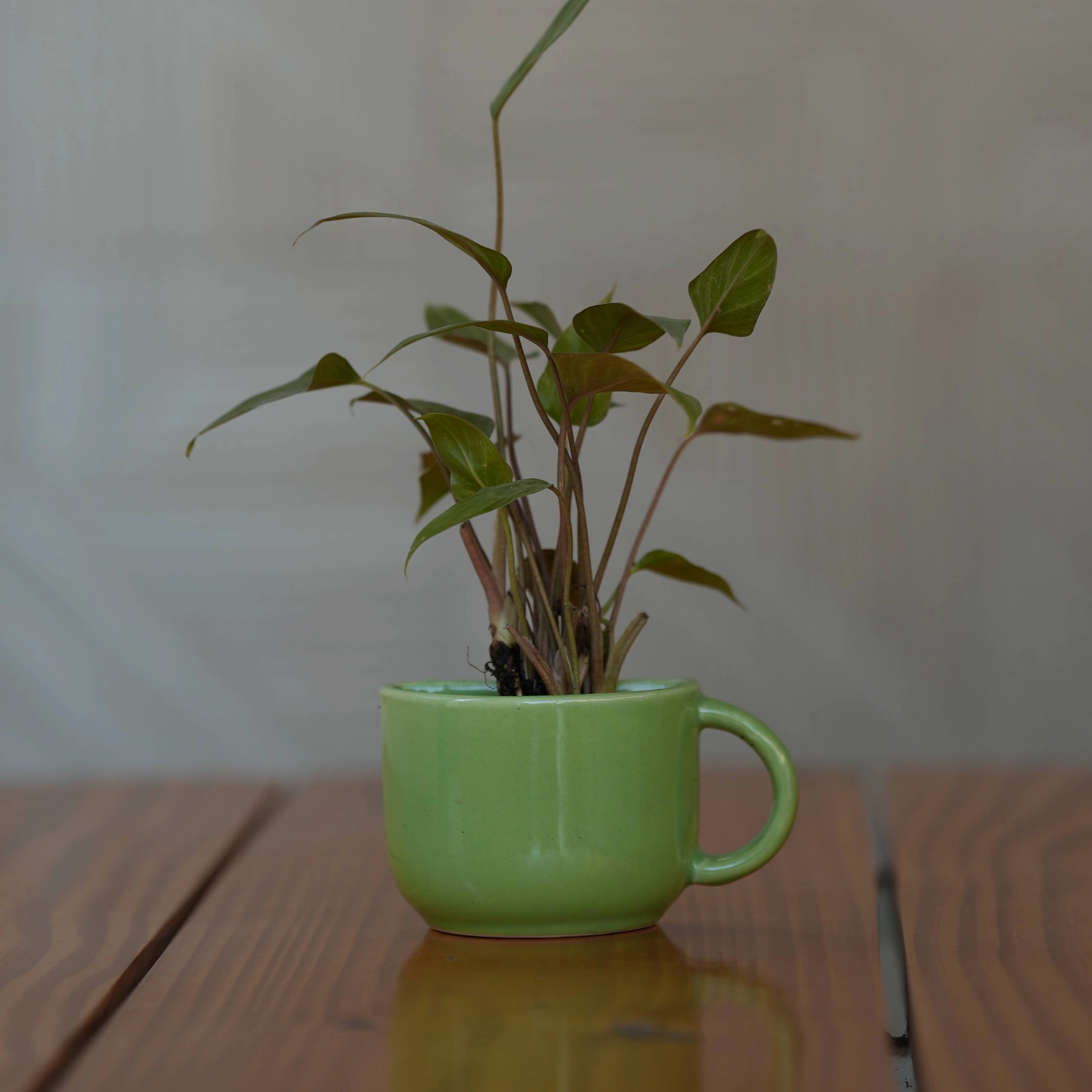 Ceramic Small Half Cup Shape Pot