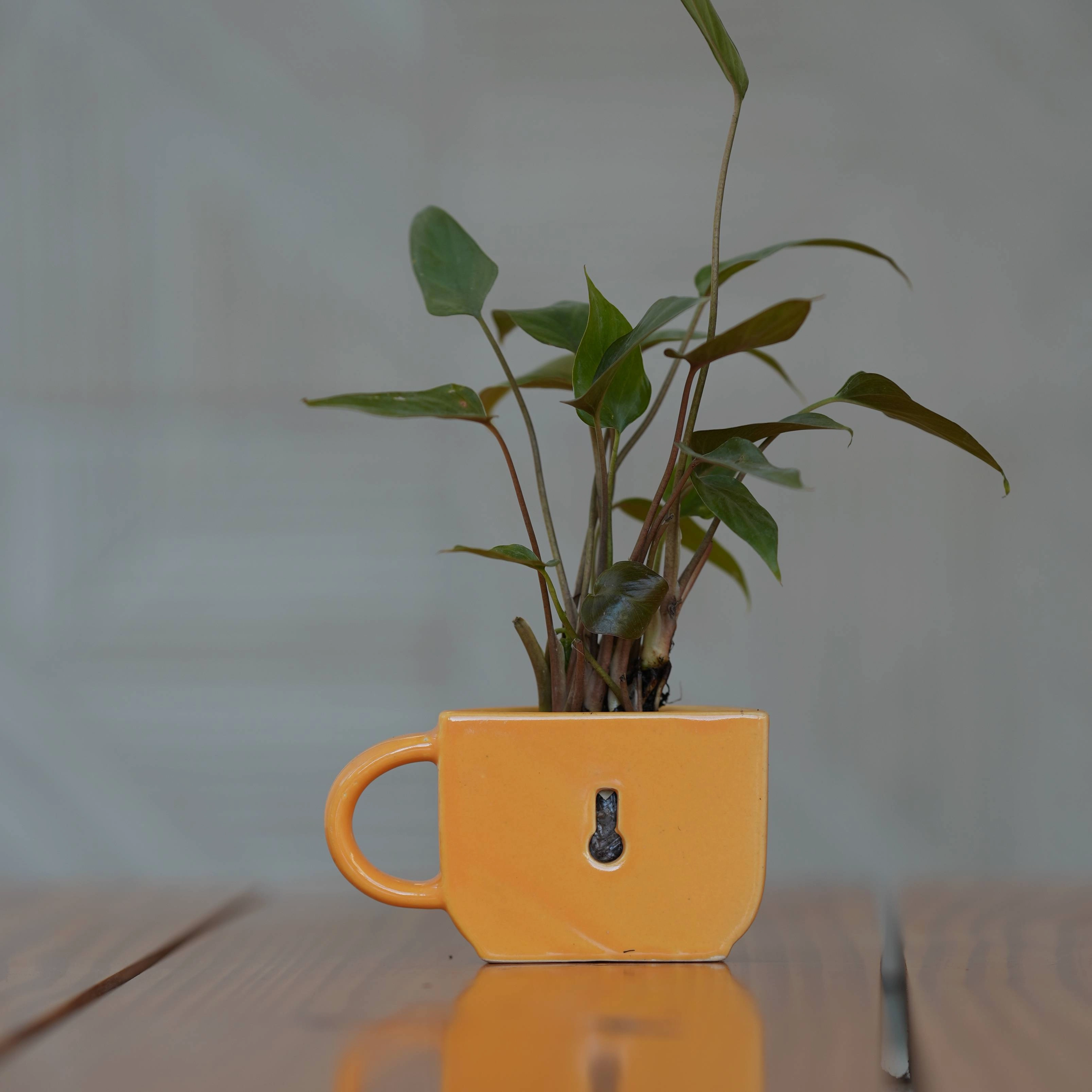 Ceramic Small Half Cup Shape Pot